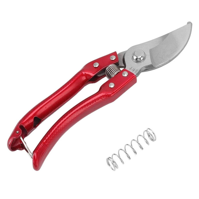 Buy Scissors Online at Best Price | Medikabazaar